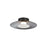 Golden Luma 12" LED Flush Mount, Graphite/Sand Nickel