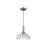 Golden Lighting Audra 1-Light Pendant, Pewter/Clear Glass