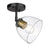 Golden Lighting Roxie 1 Light Semi-Flush, Black/Clear