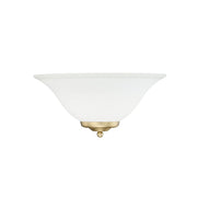Golden Multi-Family 1-Light Wall Sconce, Brushed Champagne Bronze/Opal - 8355BCB