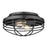 Golden Lighting Seaport 2 Light Flush Mount