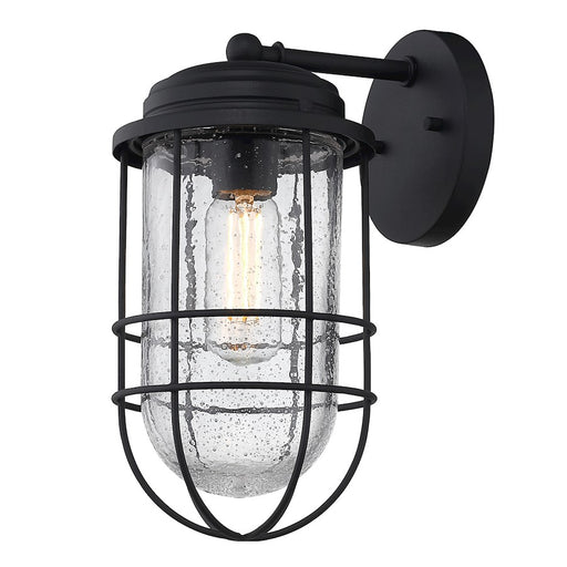 Golden Lighting Seaport 1-Light Outdoor Sconce, Black UV/Cage