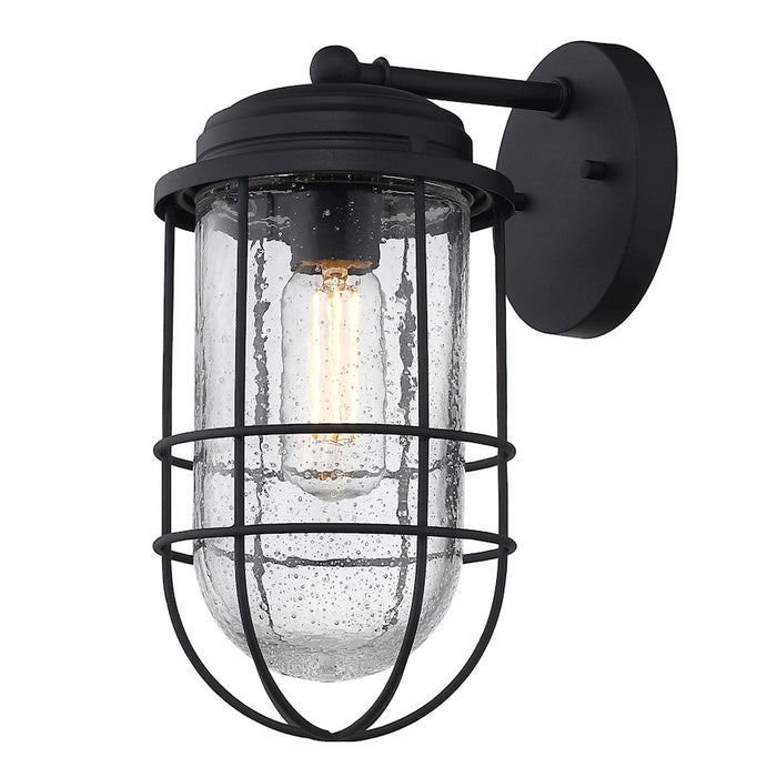 Golden Lighting Seaport 1-Light Outdoor Sconce, Black UV/Cage