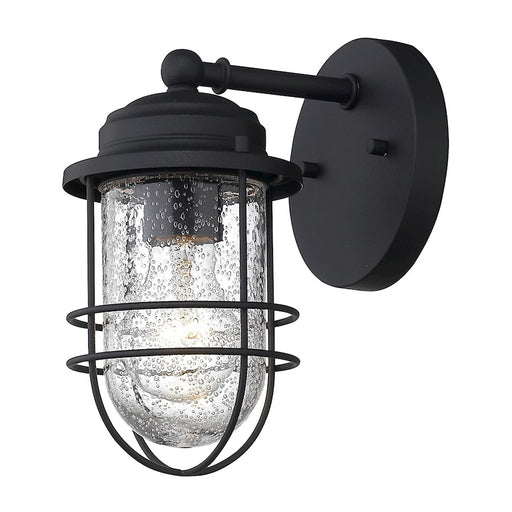 Golden Lighting Seaport 1-Light Outdoor Sconce, Black UV/Cage