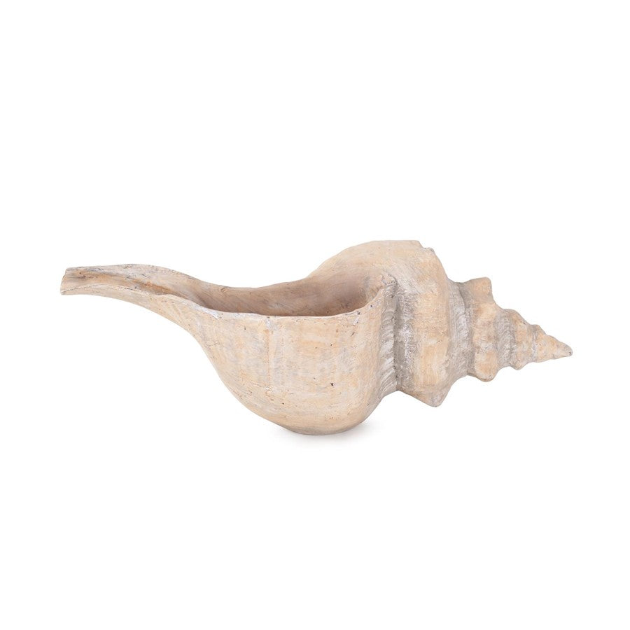 Howard Elliott Horse Conch, Brown - 12349