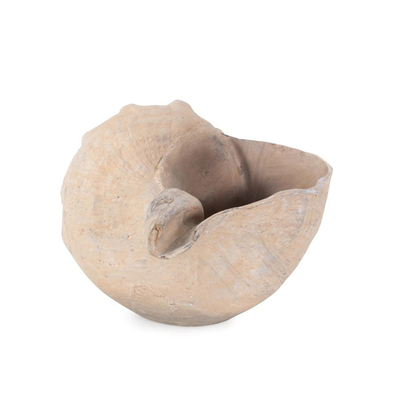 Howard Elliott Horse Conch, Brown