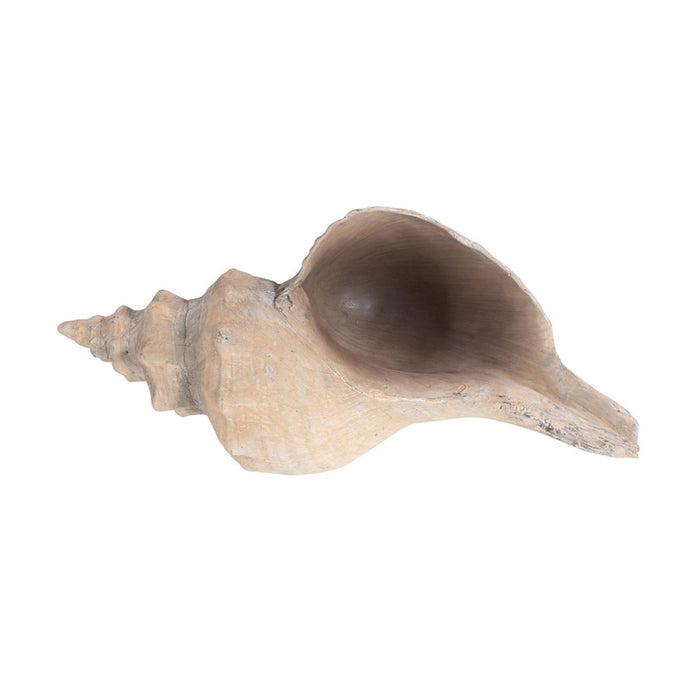 Howard Elliott Horse Conch, Brown