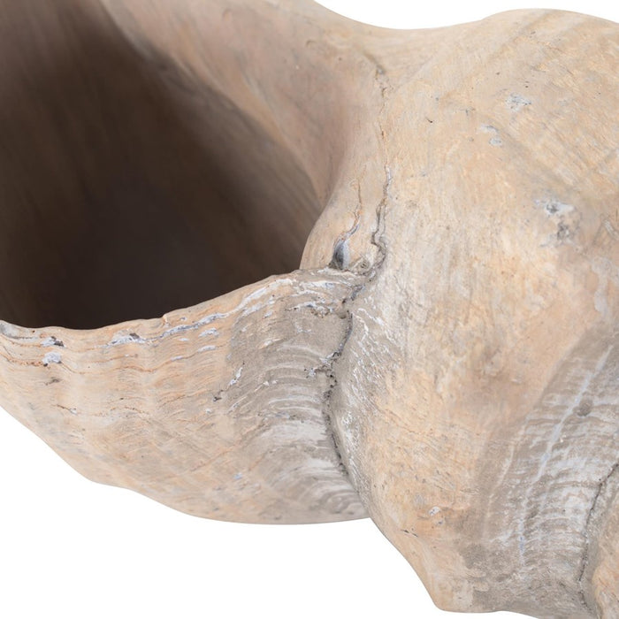 Howard Elliott Horse Conch, Brown