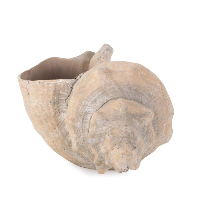 Howard Elliott Horse Conch, Brown