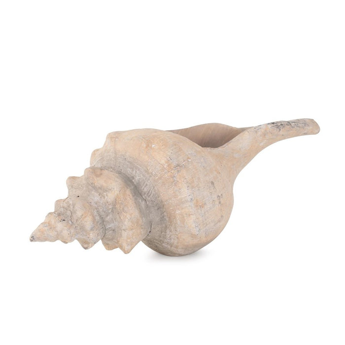 Howard Elliott Horse Conch, Brown