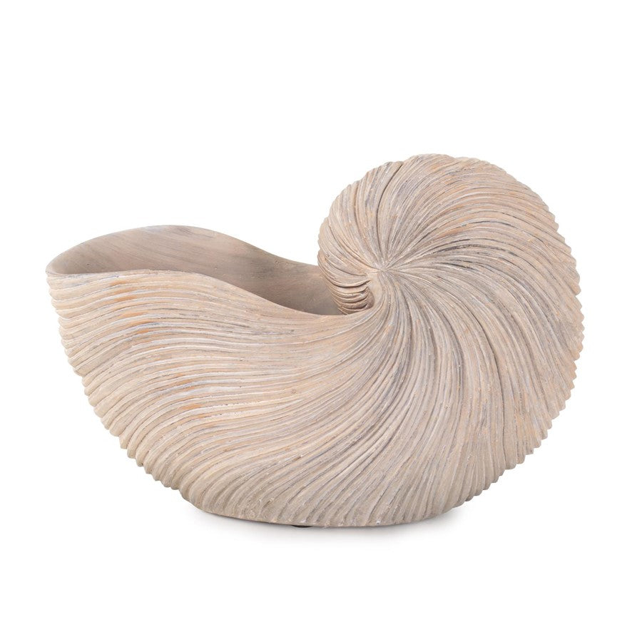 Howard Elliott Nautilus Shell, Brown - 12350