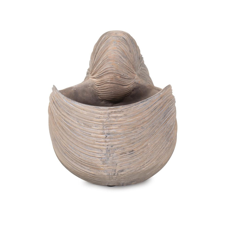 Howard Elliott Nautilus Shell, Brown