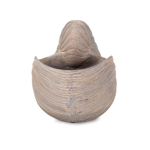 Howard Elliott Nautilus Shell, Brown