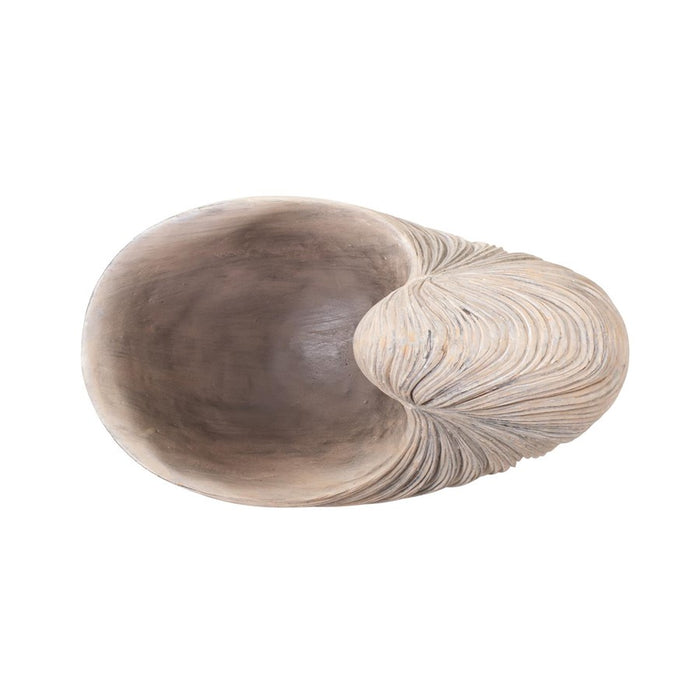 Howard Elliott Nautilus Shell, Brown