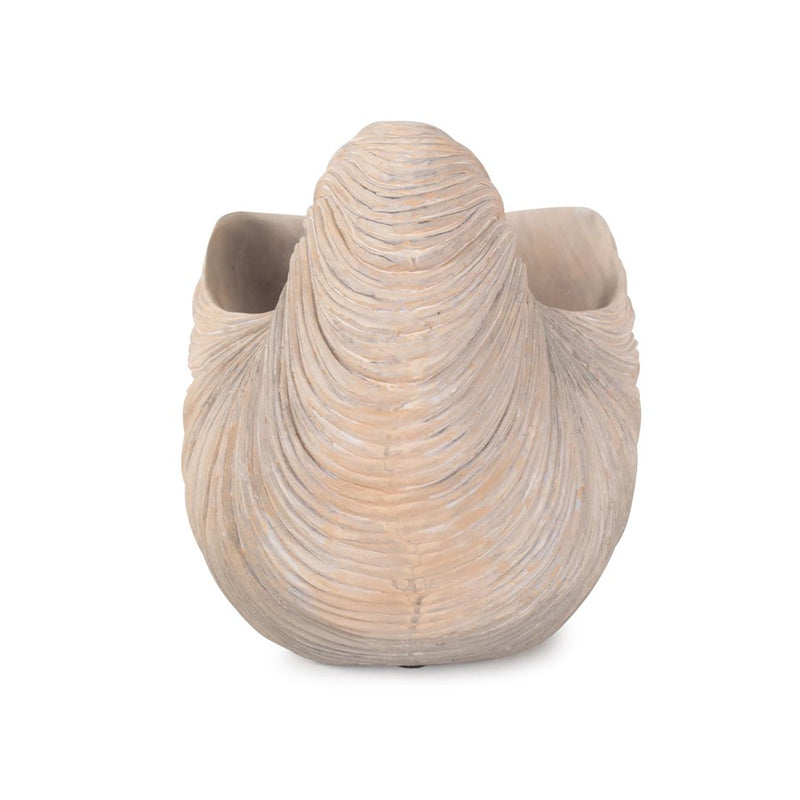 Howard Elliott Nautilus Shell, Brown