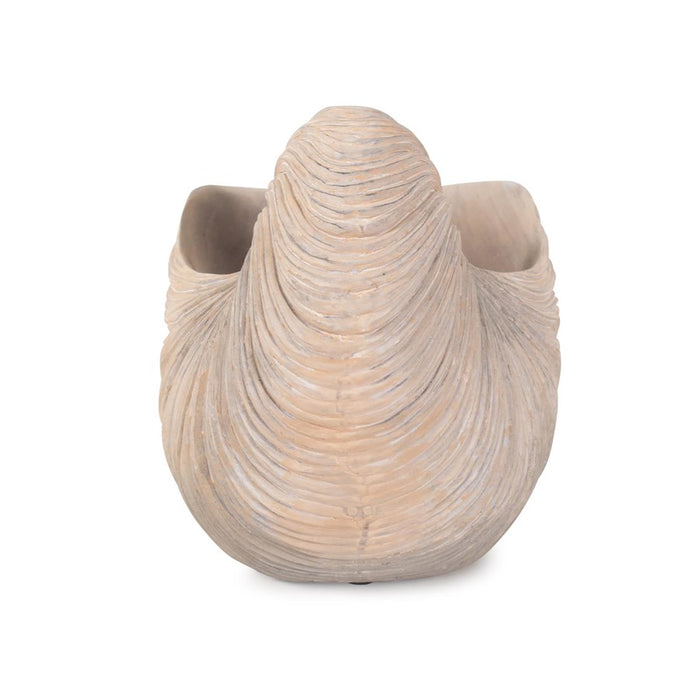 Howard Elliott Nautilus Shell, Brown