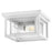 Hinkley Lighting Republic 2Lt Outdoor Flush Mount, White/Clear Seedy - 1003TW