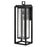 Hinkley Lighting Republic 1 Light Outdoor Wall Mount, Black/Clear Seedy