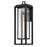 Hinkley Lighting Republic 1 Light Outdoor Wall Mount, Black/Clear Seedy
