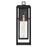 Hinkley Lighting Republic 1 Light Outdoor Wall Mount, Black/Clear Seedy