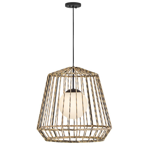 Hinkley Lighting Arlen 1Lt 24" Outdoor Hanging Pendant, Black/Rattan - 10394BK