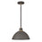 Hinkley Lighting 1 Light 16" Foundry Outdoor Hanging