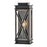 Hinkley Lighting Montecito Outdoor 1 Light Wall, Black/Clear