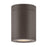 Hinkley Lighting Silo Outdoor 1 Light Flush Mount