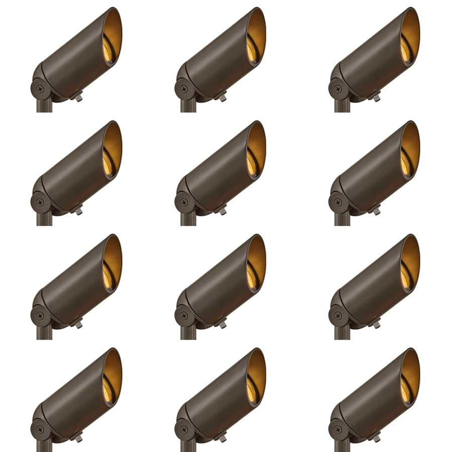 Hinkley Lighting SpotLt 1Lt Landscape Accent, Bronze/Clear Lens - 1536BZ-12