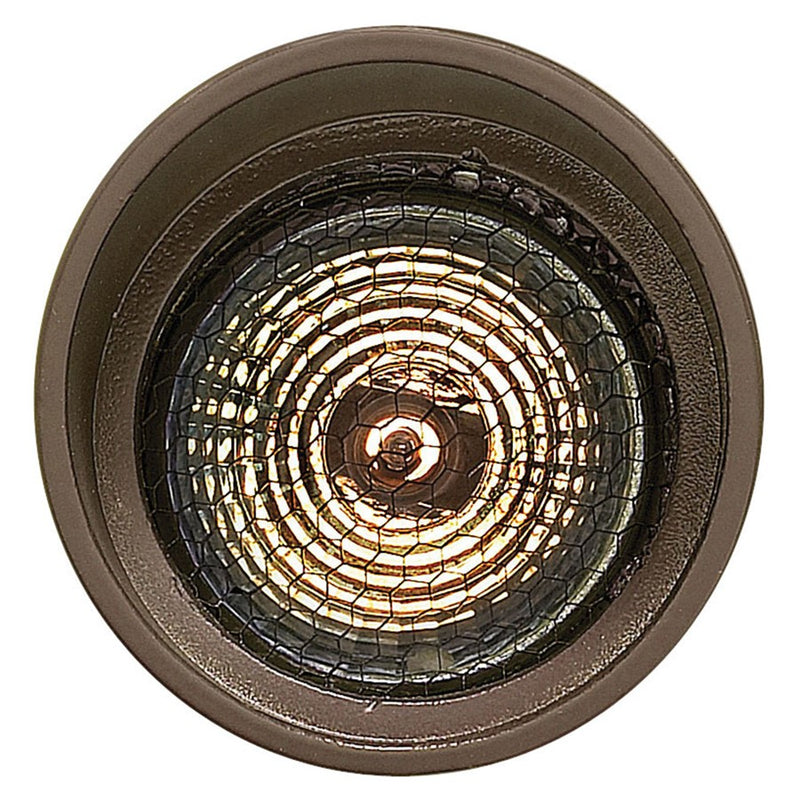 Hinkley Lighting Hardy 1 Light Landscape Spot Light, BZ/Clear