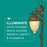 Hinkley Lighting Squirrel Path Light, Regency Bronze