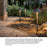 Hinkley Lighting Hardy 1 Light Path, Bronze/Frosted