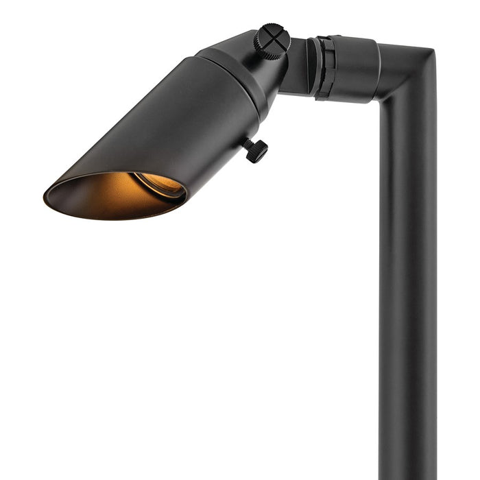 Hinkley Hardy Island 1Lt 27" 12V Spot Light/Stem, Brass Black/Clear Lens