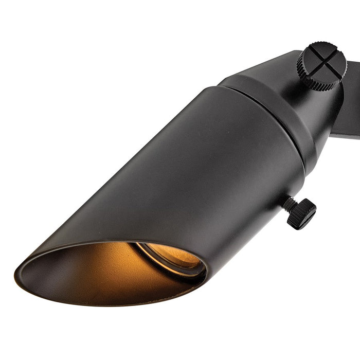 Hinkley Hardy Island 1Lt 27" 12V Spot Light/Stem, Brass Black/Clear Lens