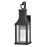 Hinkley Lighting Beacon Hill Outdoor Small Wall Mount, Black/Seed