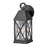 Hinkley Lighting Briar 1 Light Outdoor Sconce, Black/Clear Seedy