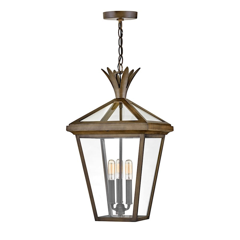 Hinkley Palma 12in 3-Light Outdoor Hanging Lantern | Transitional Burnished Bronze Aluminum and Clear Glass | Covered Patio & Entryway | Model 26092BU