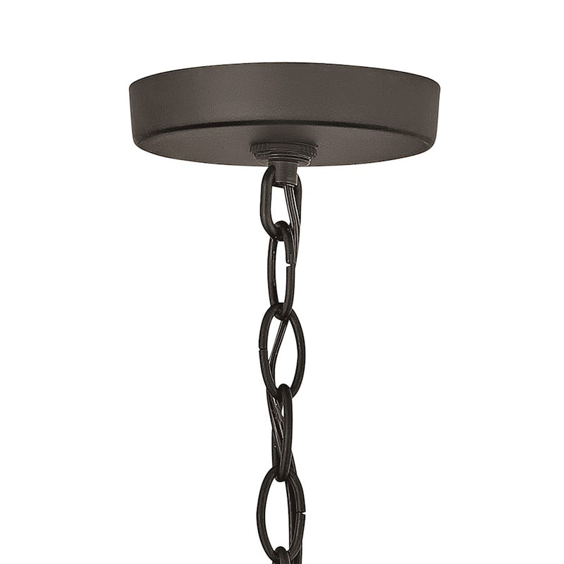 Hinkley Lakehouse 9in 1-Light Outdoor Hanging Lantern | Coastal Black Aluminum and Clear Seedy Glass | Covered Porch & Patio | 9 x 9 x | Model 2682BK-LL