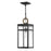 Hinkley Lighting Porter Outdoor Med. Hanging Lantern, Black