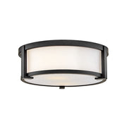 Hinkley Lighting Lowell 2 Light Small Outdoor Flush Mount, Black - 28963BK