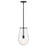 Hinkley Lighting Beck 1 Light Pendant, Black/Clear/Etch-Dipped - 32087BK