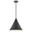 Hinkley Lighting Arti 1 Light Pendant, Black - 3694BK
