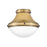 Hinkley Lighting Oliver 1 Light Small Flush Mount
