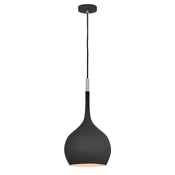 Hinkley Lighting Ziggy 1 Light Interior Hanging