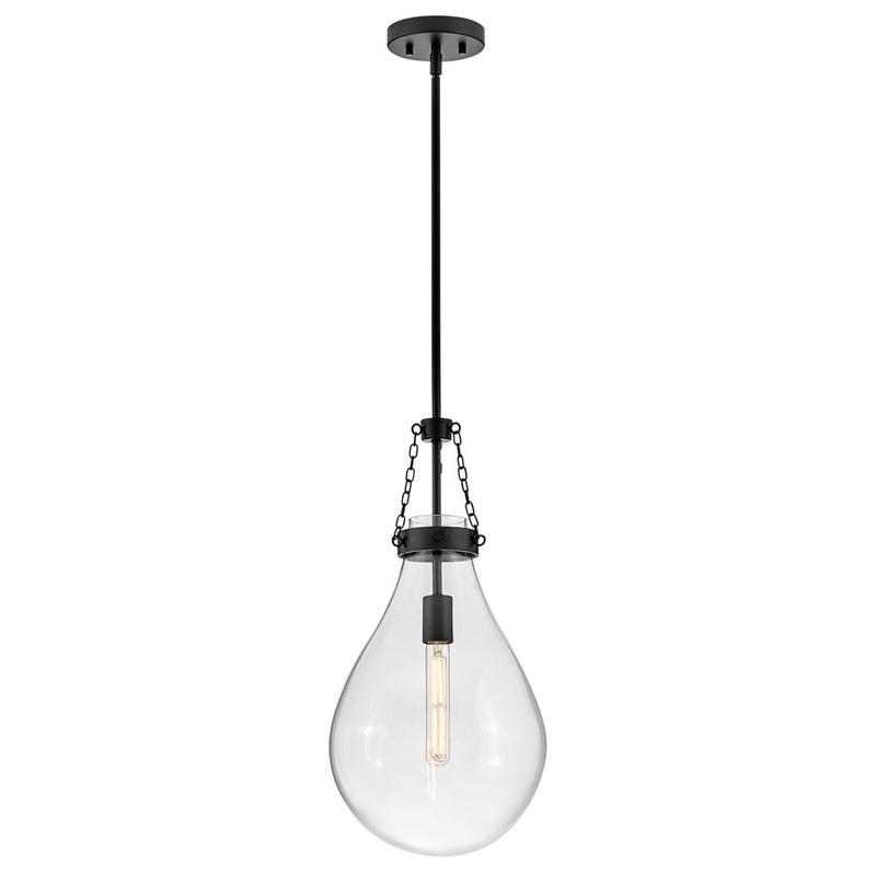 Hinkley Lighting Eloise 1 Light 22" Pendant, Black/Clear