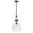Hinkley Lighting Eloise 1 Light 22" Pendant, Black/Clear - 46057BK
