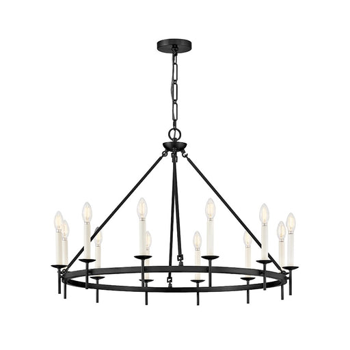 Hinkley Lighting Copley 12 Light Large Ring Chandelier, Black - 47476BK