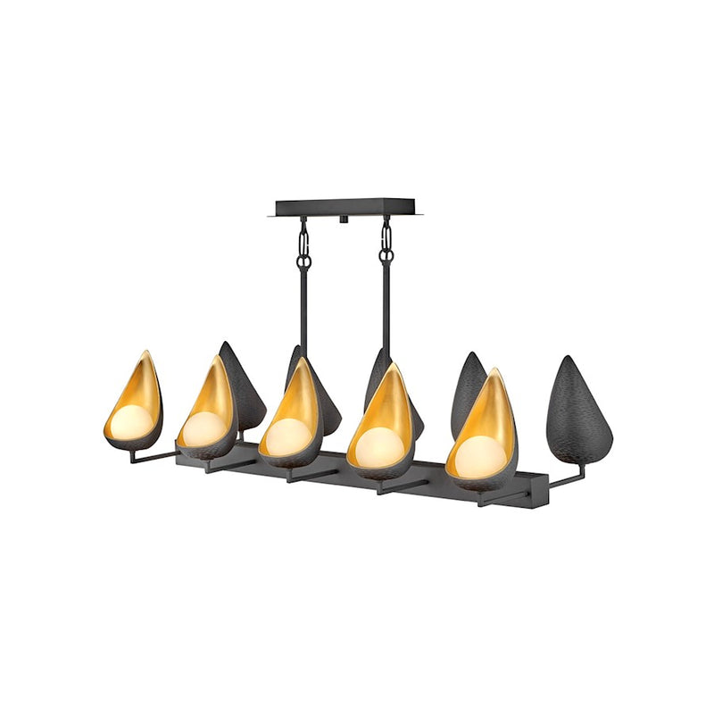 Hinkley Lighting Ren 10 Light Interior Hanging, Black