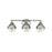 Hinkley Lighting Fletcher Interior Bath Vanity Bath Vanity Light | Black | Traditional Vanity Light Above the Bathroom Mirror | Damp Rated | 5172BK