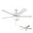 Hinkley Lighting Metro 2 Light Illuminated 52" Fan